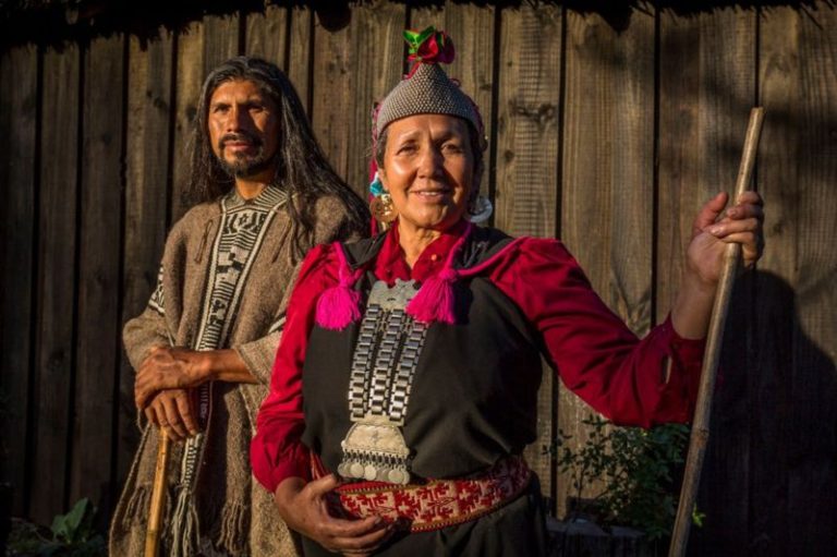 Lengua Mapuche El Enigma De Su Origen Y Otras Singularidades Del