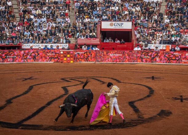 Corridas De Toros Y Peleas De Gallos No Son Patrimonio Cultural Scjn