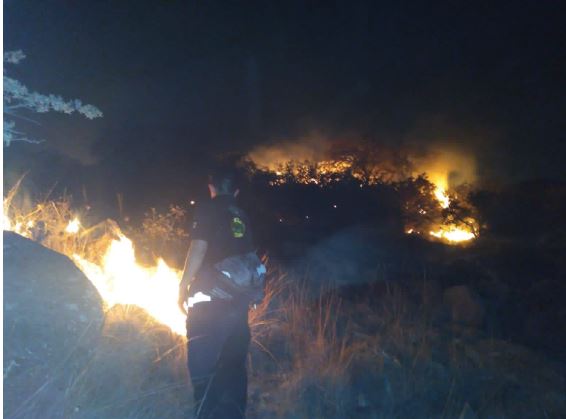 Fuego consumió 7 hectáreas en Sierra de San Miguelito El Heraldo de