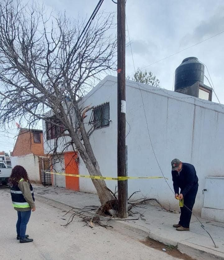 En Alerta Permanente Protecci N Civil De Soledad Por Fuertes R Fagas De