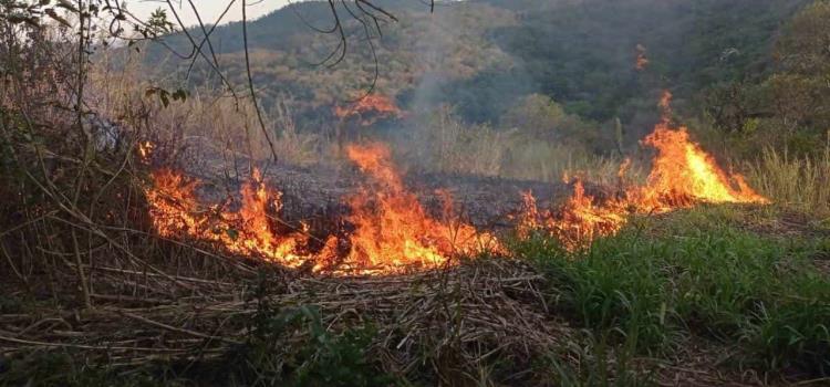 Incendio En Pastizales De Chapulhuacanito El Heraldo De San Luis Potos