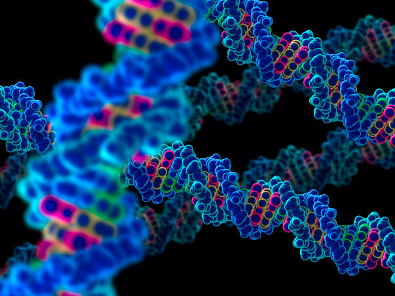 4 alucinantes hechos sobre nuestros genes