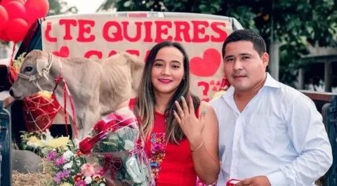 Joven de Tabasco pide matrimonio a su novia regalándole un becerro