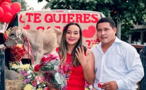 Joven de Tabasco pide matrimonio a su novia regalándole un becerro