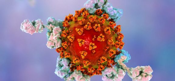 coronavirus variantes