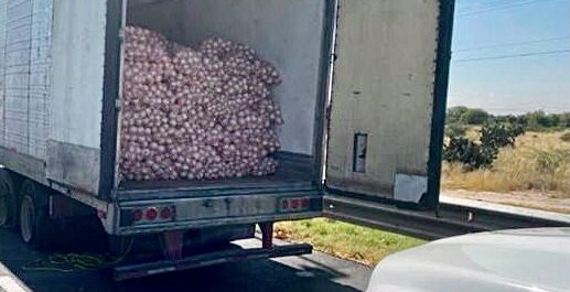 Ladrones abandonan camión robado con verdura