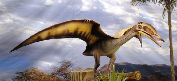 pterosauria-estudio