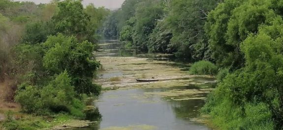 Buscan cuerpo de adulto mayor, en el Río Valles