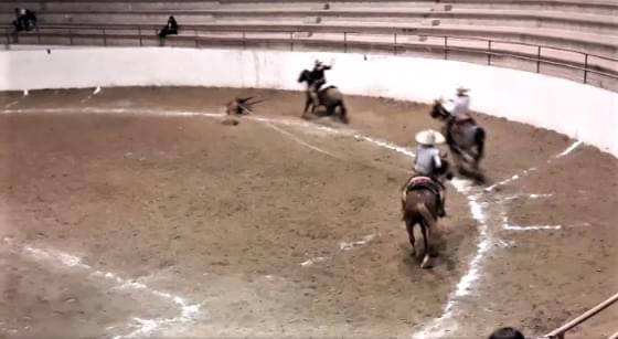 Rodrigo esqueda corpus campeón regional de charrería