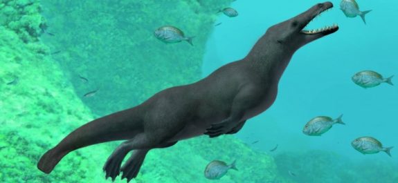 La nueva especie de ballena de cuatro patas que descubrieron en Egipto