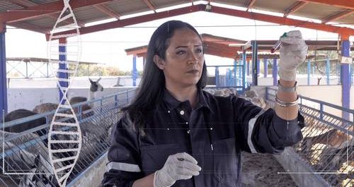 ▲ Fotogramas de Ellas hacen ciencia.