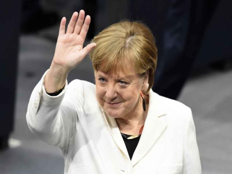 Merkel llama