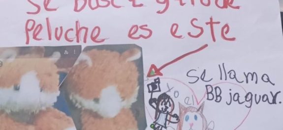 Nina-pide-ayuda-para-encontrar-a-su-peluche-ofrece-20-pesos-de-recompensa-2