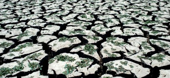 la preocupante masa de agua caliente cerca de Nueva Zelanda