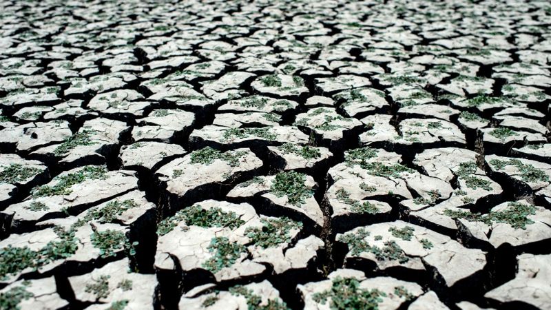 la preocupante masa de agua caliente cerca de Nueva Zelanda