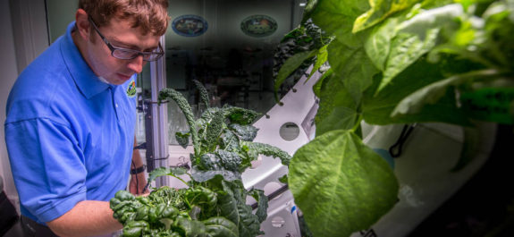 Matt Romeyn in Veggie Lab