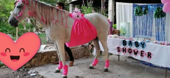 Familia en Yucatán celebra baby shower a su yegua