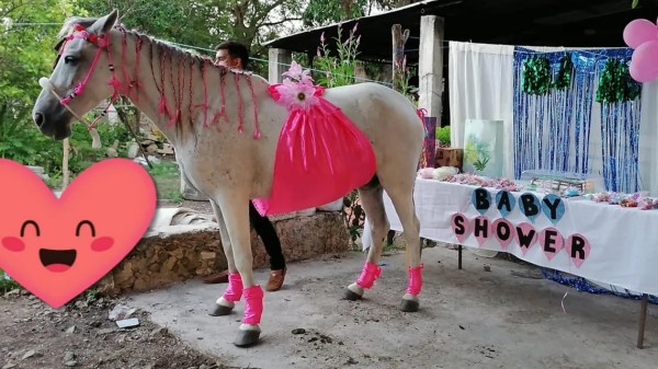 Familia en Yucatán celebra baby shower a su yegua