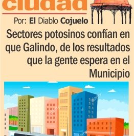 LAS-COCHAS-DE-LA-CIUDAD-P-WEB-1