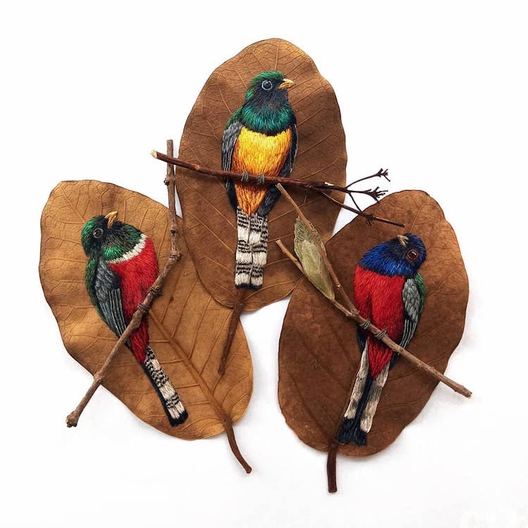 Artista usa hojas secas como lienzos para sus exquisitos bordados de aves -  El Heraldo de San Luis Potosí.