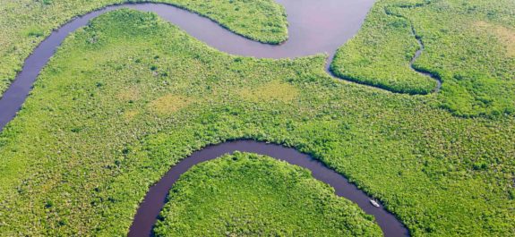 selva tropical de Daintree