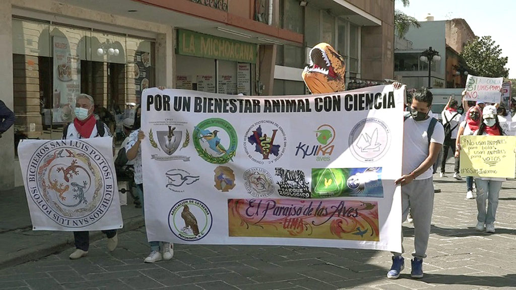 Protestan contra la creación de la Ley General de Bienestar Animal