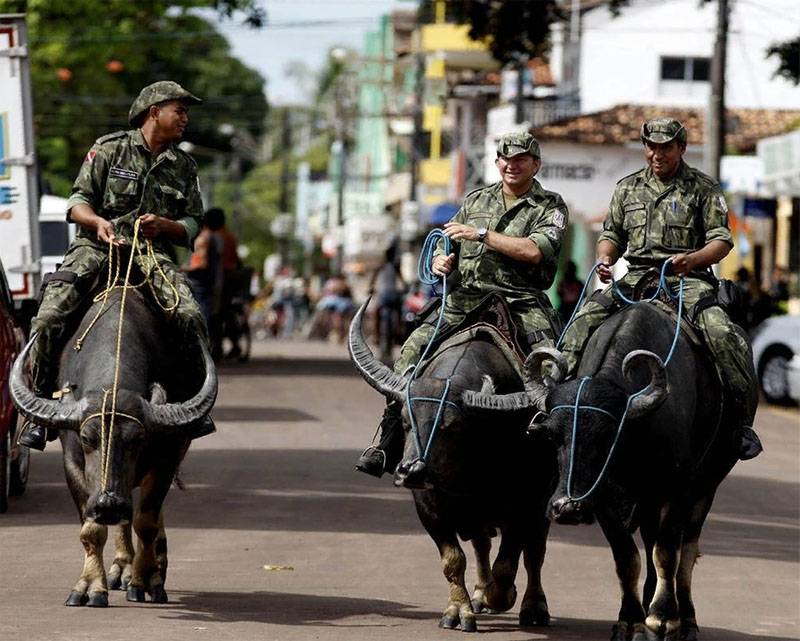 Policía en Brasil usa búfalos