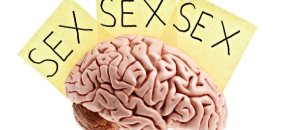 pornografía en el cerebro