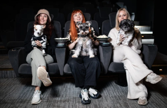 primer cine adaptado para perritos en Manchester