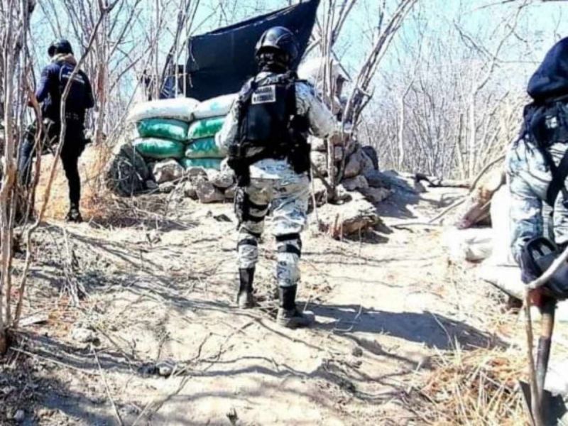 narco campamento