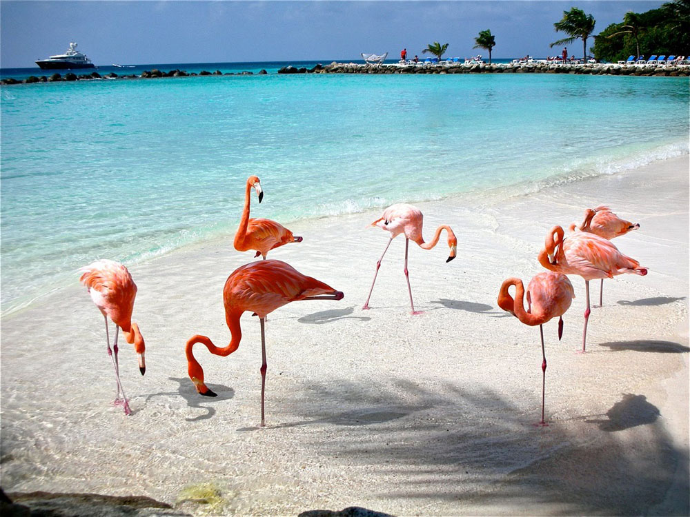 Playa Celestún Yucatán-1