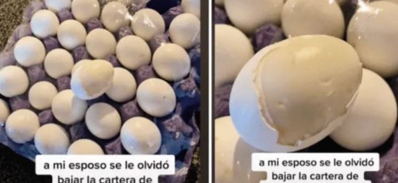 se le olvidan sus huevos