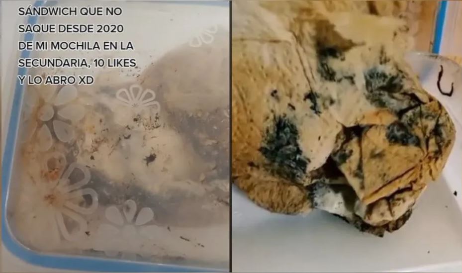 Adolescente descubre sándwich que guardó en 2020