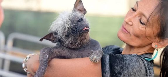 Sr. Rostro Feliz el perro más feo del mundo