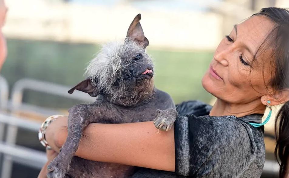 Sr. Rostro Feliz el perro más feo del mundo