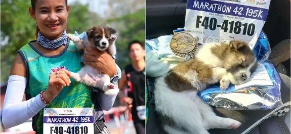 maratonista-termina-carrera-cachorro-adoptado