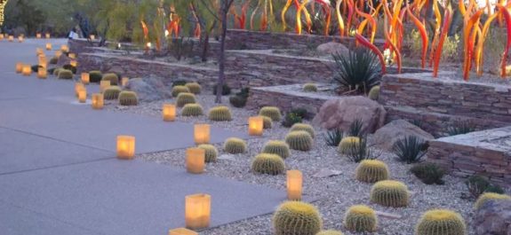 Sorprenderan-con-megaofrenda-en-el-Jardin-Botanico-del-Desierto-de-Phoenix-Arizona