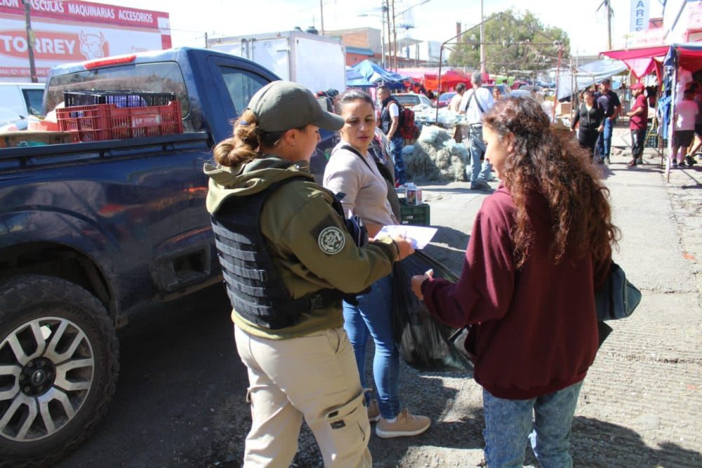 Desplegar n 300 elementos de la Guardia Civil Estatal en Operativo