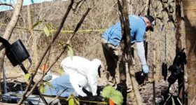 Localizan 20 fosas clandestinas y exhuman 22 cuerpos en Colima