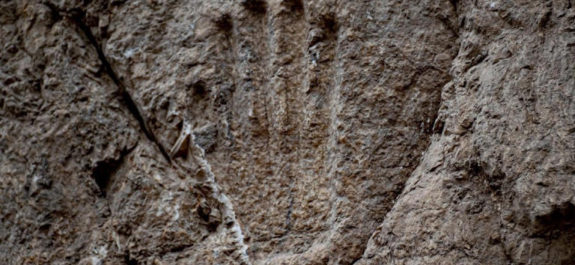 Arqueólogos descubren mano tallada en foso de Jerusalén