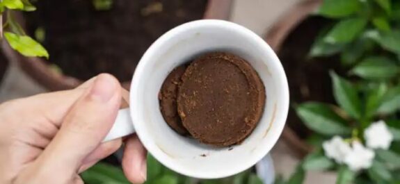 Beneficios-del-cafe-molido-para-las-plantas