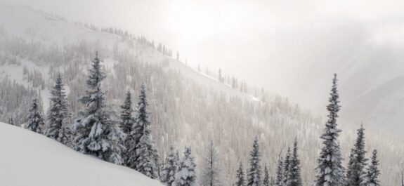 Mueren dos hombres en avalancha en Canadá