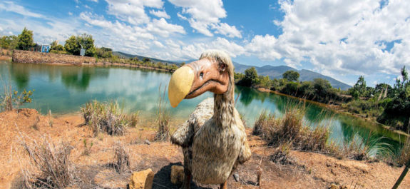 Resucitar al pájaro dodo podría traer muy malas consecuencias