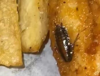 Mujer-encuentra-una-cucaracha-en-su-pollo-frito-y-tiene-evidencia-3