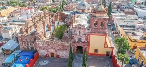 Pinos-en-Zacatecas-1