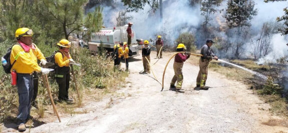 incencido veracruz