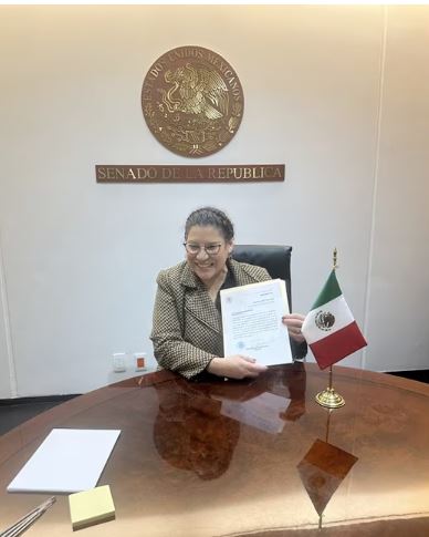 AMLO Nombra A Lenia Batres Como Nueva Ministra De La Corte – El Heraldo ...