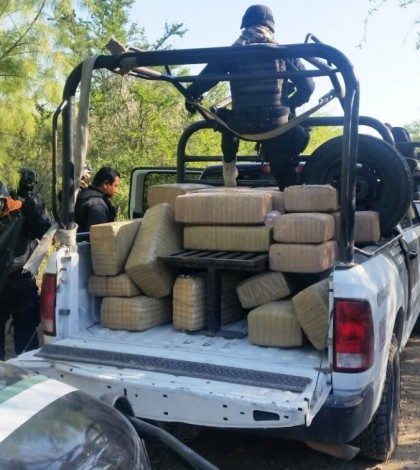 Fuerza Tamaulipas asegura 430 kilogramos de mariguana