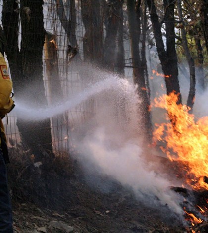 Jalisco suma 739 incendios al cierre de temporada crítica