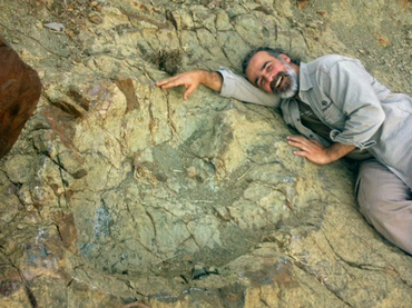 Hallan en Bolivia huella de dinosaurio de 1.2 metros de diámetro